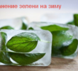 Заготовка зелени на зиму