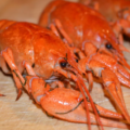 раки